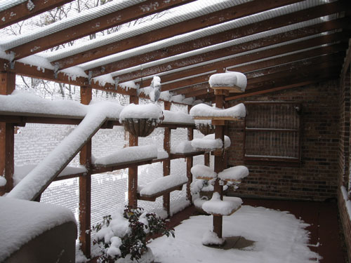 Enclosure in winter
